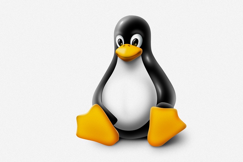 Linux 5.6 Release
