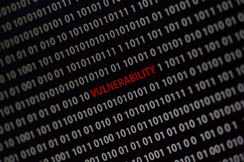 Vulnerability Detection