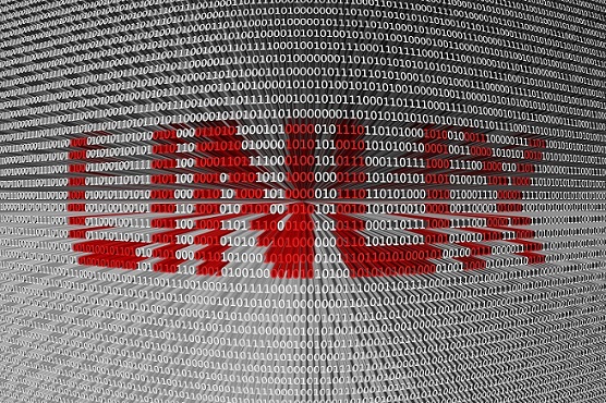 Manjaro Linux Distribution